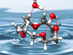 Die bevorzugte Struktur eines Kronenethers verändert sich, wenn Wassermoleküle daran binden (gestrichelte Linien).