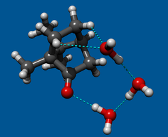Ein mit drei Wassermolekülen mikrosolvatisiertes Camphermolekül.