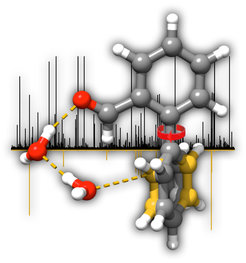 A wire of two water molecules connects the two rings of a biphenyl system (dashed lines) and alters the angle between the two rings (red arrow).