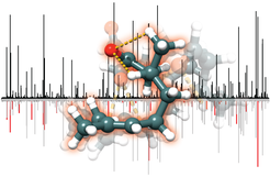 Structure of the most stable globular form of citronellal.