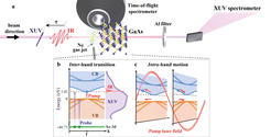 © Adapted from Schlaepfer et al., Nature Physics doi:10.1038/s41567-018-0069-0 (2018)