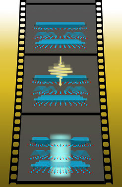 In equilibrium (top), the charge stripe “ripples” run perpendicular to each other between the copper-oxide layers of the material. When a mid-infrared laser pulse strikes the material (middle), it “melts” these conflicting ripples and induces superconductivity (bottom). The experimenters used a carefully synchronized x-ray laser to take this femtosecond–fast “movie” to reveal how quickly the charge stripes melt.