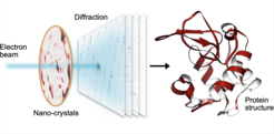 In serial electron diffraction, a small electron beam sequentially hits thousands of tiny crystals made from proteins, which scatter the beam into diffraction patterns. From those patterns, the structure of the proteins can be determined with high resolution.