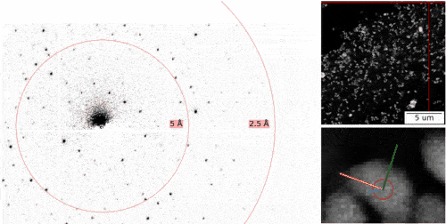 A slow-motion movie of collecting diffraction patterns (left) from thousands of tiny crystals (right) in an electron microscope.