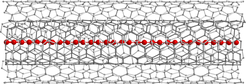 © Lei Shi / Fakultät für Physik, Universität Wien