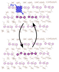Das Bild veranschaulicht die Photodissoziation von Triiodid, initiiert durch einen Laserpuls und die sekundäre Reaktion, die zu dem neuen 4-Atom-Zwischenprodukt führt, gefolgt von der Rekombinationsreaktion.