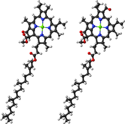 Molekulare Strukturen von Chlorophyll a (links) und b (rechts). Sie unterscheiden sich nur in einem Substituenten des Porphyrin-Ringes.