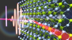 Lichtinduzierte ultraschnelle Exzitonendynamik in MgF2 wurde mit Attosekunden-Transienten-Reflexionsspektroskopie und mikroskopischen theoretischen Simulationen untersucht.