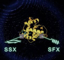 A systematic comparison shows that serial synchrotron crystallography (SSX) and serial femtosecond crystallography (SFX) can yield data of equivalent quality. This opens new collaborative opportunities exploiting the advantages of both light sources to study biomolecular dynamics.