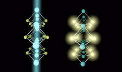 Even though the electronic properties of MoSe2 are determined by the bonds of Mo and Se atoms, to which both elements contribute equally, the material shows opposite faces depending on through which of its atomic constituents it is probed.