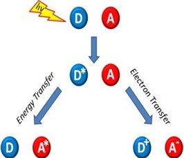 Photoinduced Energy and Electron Transfer in the Natural and Artificial Systems