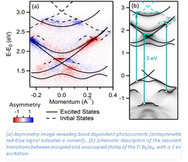 Ultrafast Photocurrents in a topological insulator - an inside view