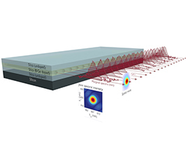 Networked Quantum Information Technologies