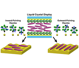 What’s on the Outside Counts Too: Surface-Dipole Modulated Assembly