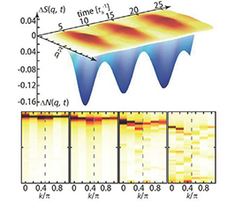 Nonequilibrium Study of Competing Orders