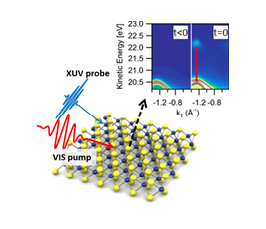 Electronic and Structural Dynamics in Solids: A Momentum-Resolved View on Microscopic Coupling and Correlation Phenomena