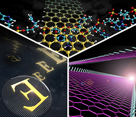 Kwang S. Kim - Carbon based nano-optics, -electronics and -spintronics