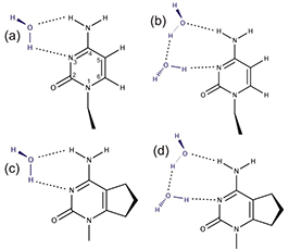 Samuel Leutwyler - Cytosines: Excited-State Lifetimes, Nonradiative Decay Mechanism and Water Clusters