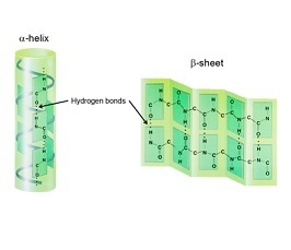 Intermolecular interactions - IMPRS-UFAST focus course